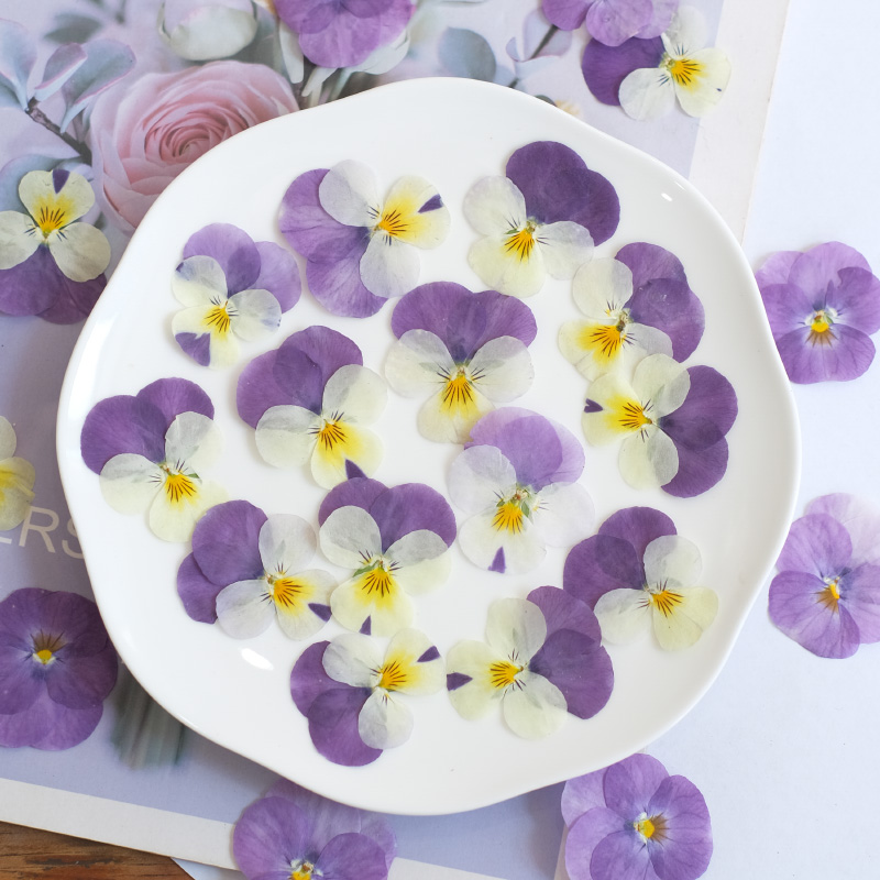 12pcs,nature Pansy Dried Flowe - Photo Beauty Makeup 评论和价格